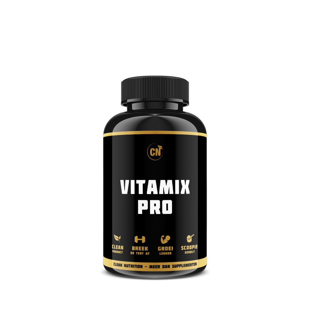 Vitamix Pro
